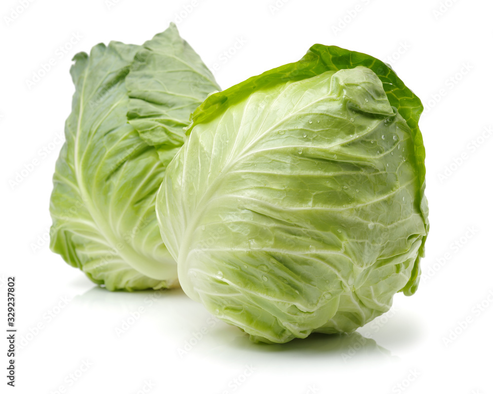 Fototapeta premium cabbage on white background
