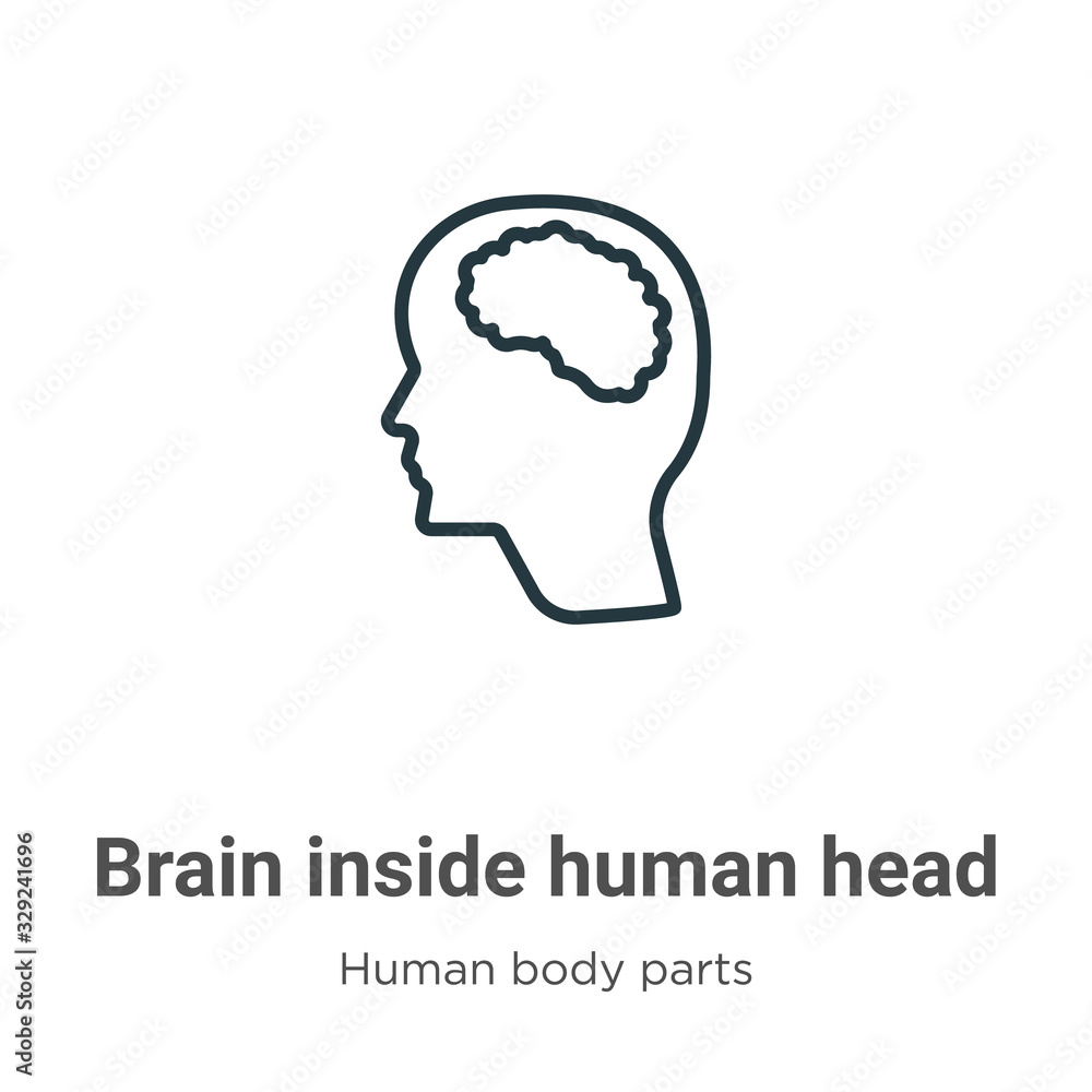 Brain inside human head outline vector icon. Thin line black brain inside human head icon, flat vector simple element illustration from editable human body parts concept isolated stroke on white