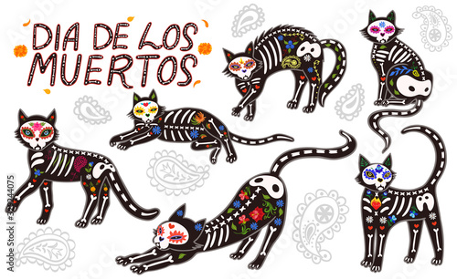 Set of cats of the day of the dead isolated on white background lettering in spanish day of the dead. Vector graphics.