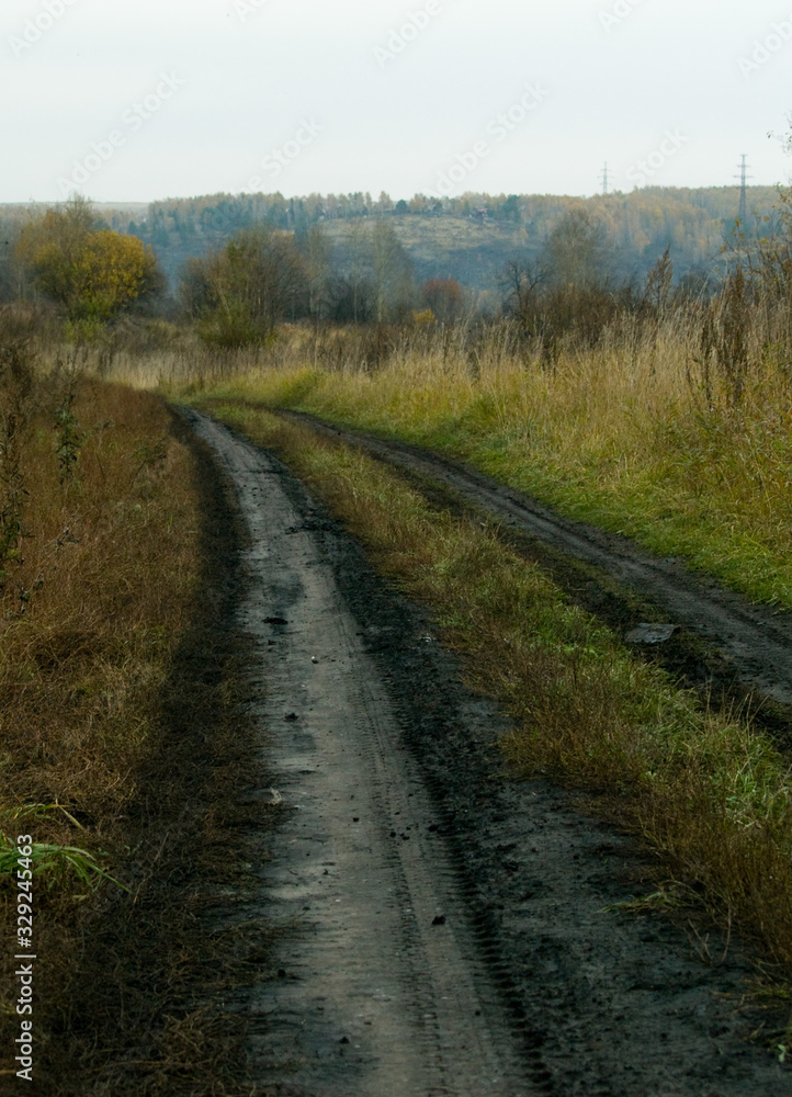 Autumn Road in Siberia