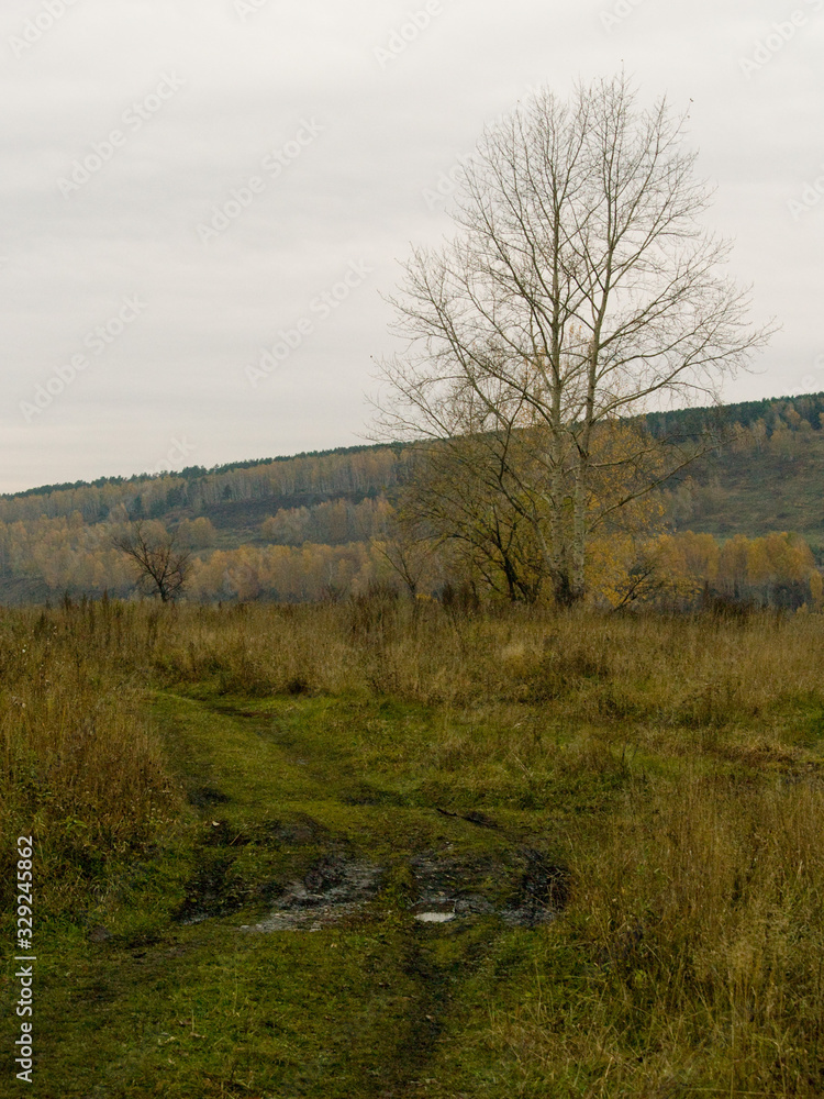 Autumn in Siberia Autumn in Siberia