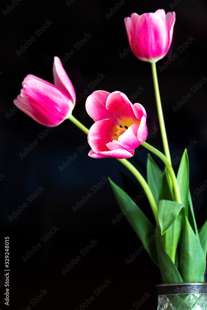 Fototapeta premium Tulips are in a vase on the bedside table on the background of LCD.