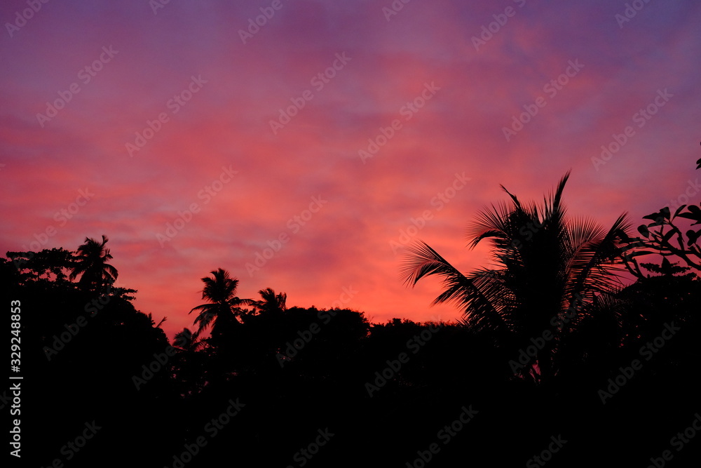 Beautiful red Asian sunset on the sea. Palms and clouds 