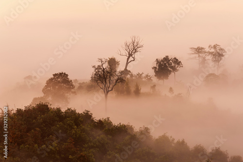 Sunrise mist mountain Yun Lai Sea Viewpoint is located at Santichon Village, Wiang Tai Subdistrict, Pai District, Mae Hong Son Province in Thailand