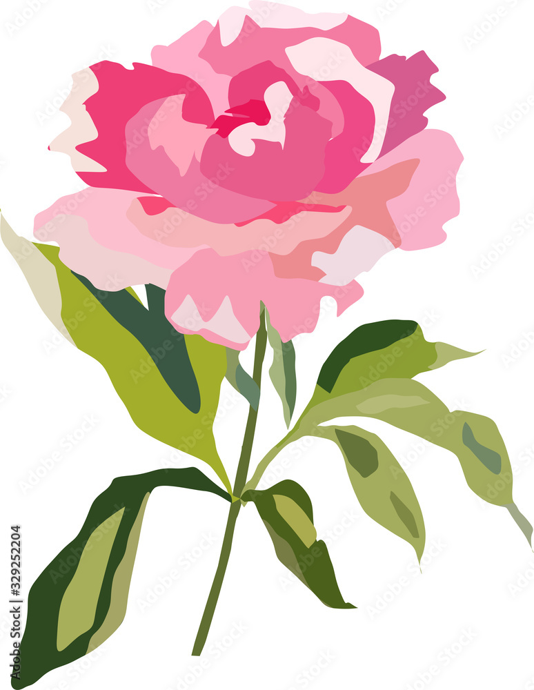 Fototapeta premium peony flower in pink tone vector illustration