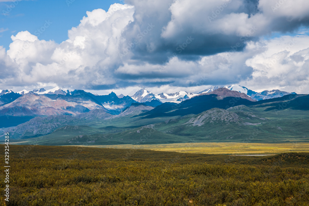 View of Alaskan Mountain Range in Denali National Park, Alaska