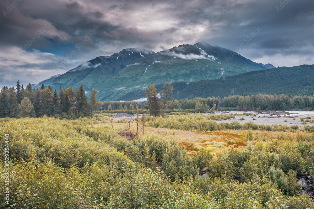 View of Alaskan Mountain Range in Denali National Park, Alaska