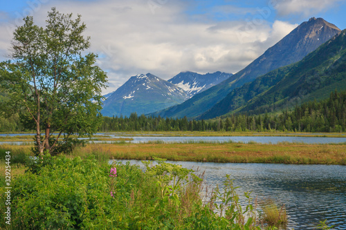 View of Alaskan Mountain Range in Denali National Park  Alaska