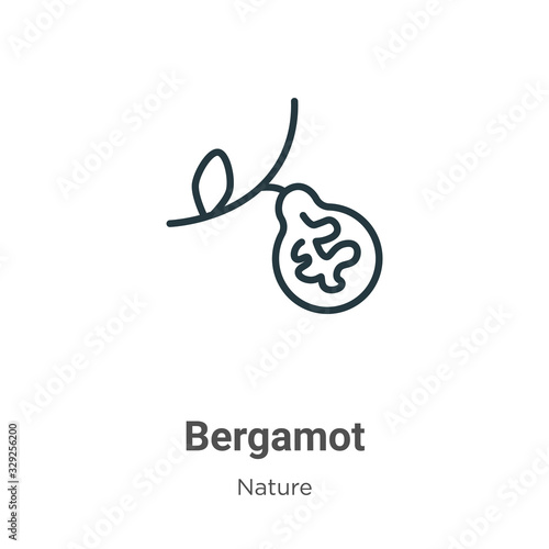 Bergamot outline vector icon. Thin line black bergamot icon, flat vector simple element illustration from editable nature concept isolated stroke on white background