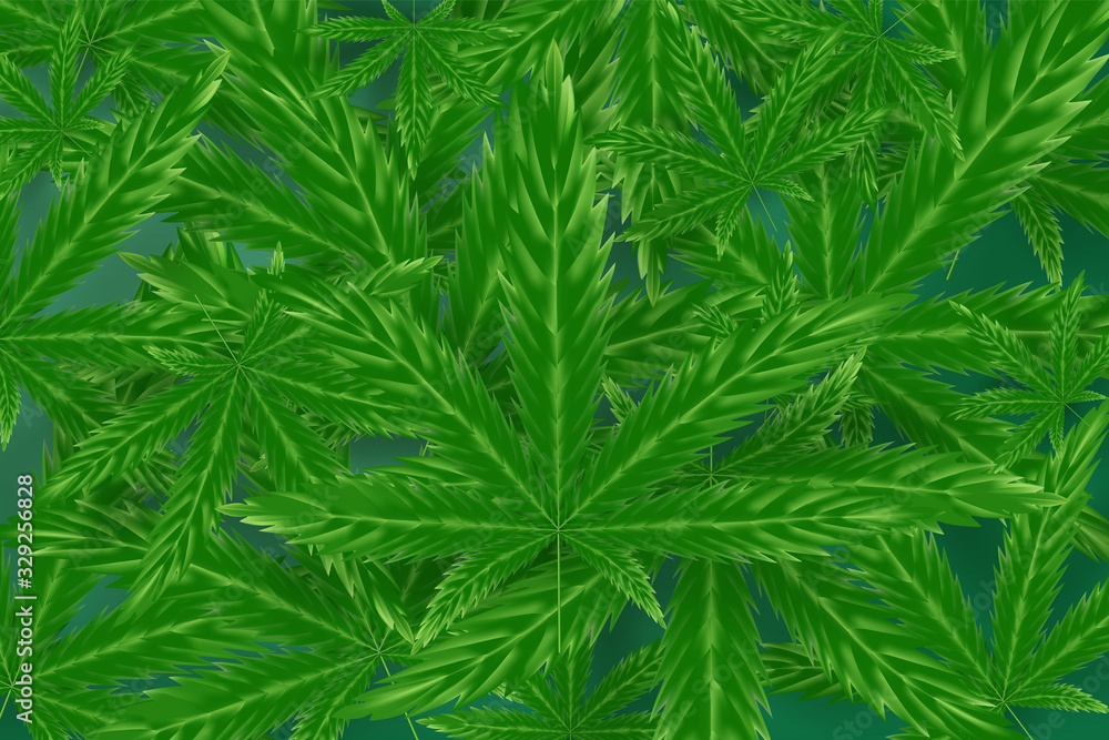 Realistic green cannabis leaf drug marijuana herb Background.Creative natural Marijuana Cannabis.Medical Organic green plant Wallpaper in web-page.Template frame decorated.vector illustration.EPS10