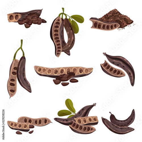 Carob Pod with Seeds Inside Isolated on White Background Vector Set