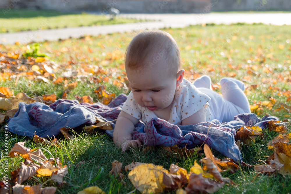 Cute little girl is lying on a grass and playing with dry yellow leaves. Cute little girl is lying on a grass and playing with dry yellow leaves.