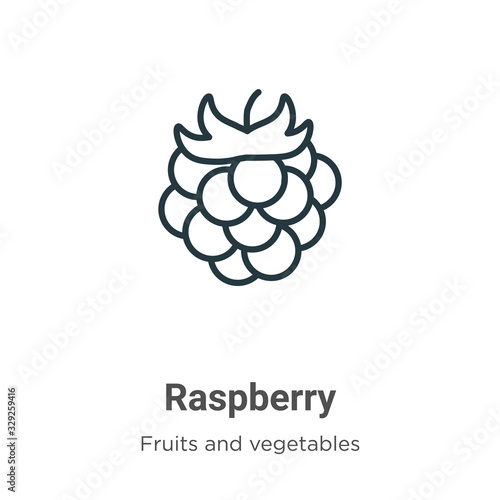 Raspberry outline vector icon. Thin line black raspberry icon, flat vector simple element illustration from editable fruits concept isolated stroke on white background