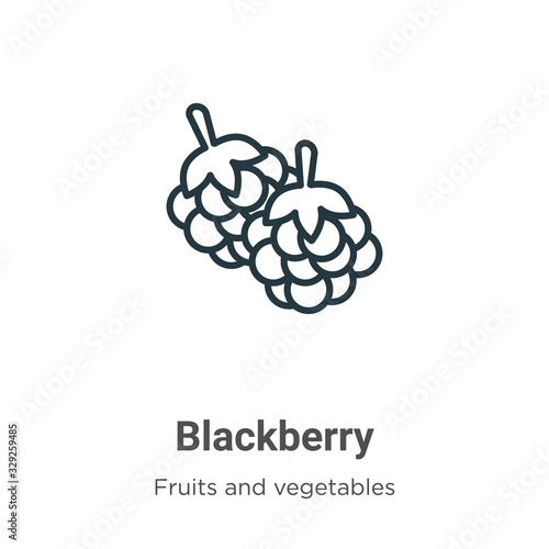 Blackberry outline vector icon. Thin line black blackberry icon, flat vector simple element illustration from editable fruits and vegetables concept isolated stroke on white background