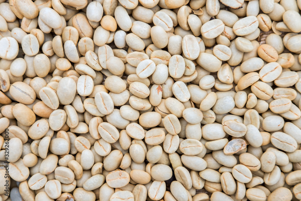 Process before being a coffee product to Coffee beans under sun to dry on background Process before being a coffee product to Coffee beans under sun to dry on background