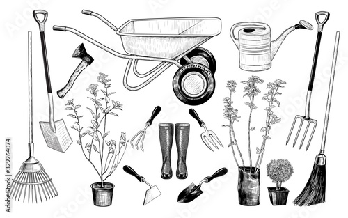  .Vector set of various garden tools and plants.Vintage ink drawing. Isolated objects on white background. Clipart..