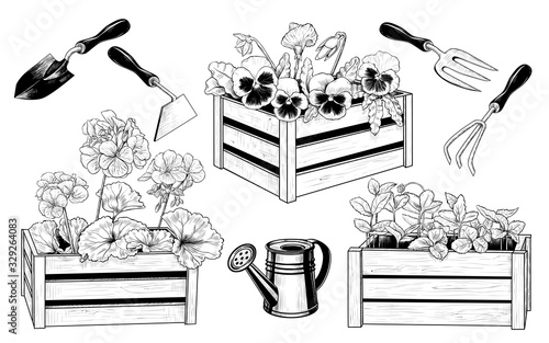   .Vector set of garden tools and various seedlings in wooden boxes. Vintage ink drawing. Isolated objects on white background. Clipart.