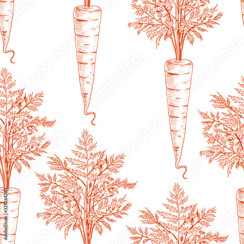 .Vintage seamless pattern with carrots. Vector ink drawing of carrots on a white background. Imitation engraving.. photo