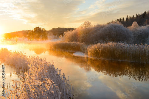 Frost covered reeds lining a stream at sunrise, Sweden.