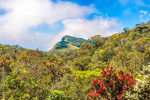 View of the top of the hill Mini Worlds End in Horton Plains National Park, Sri Lanka photo