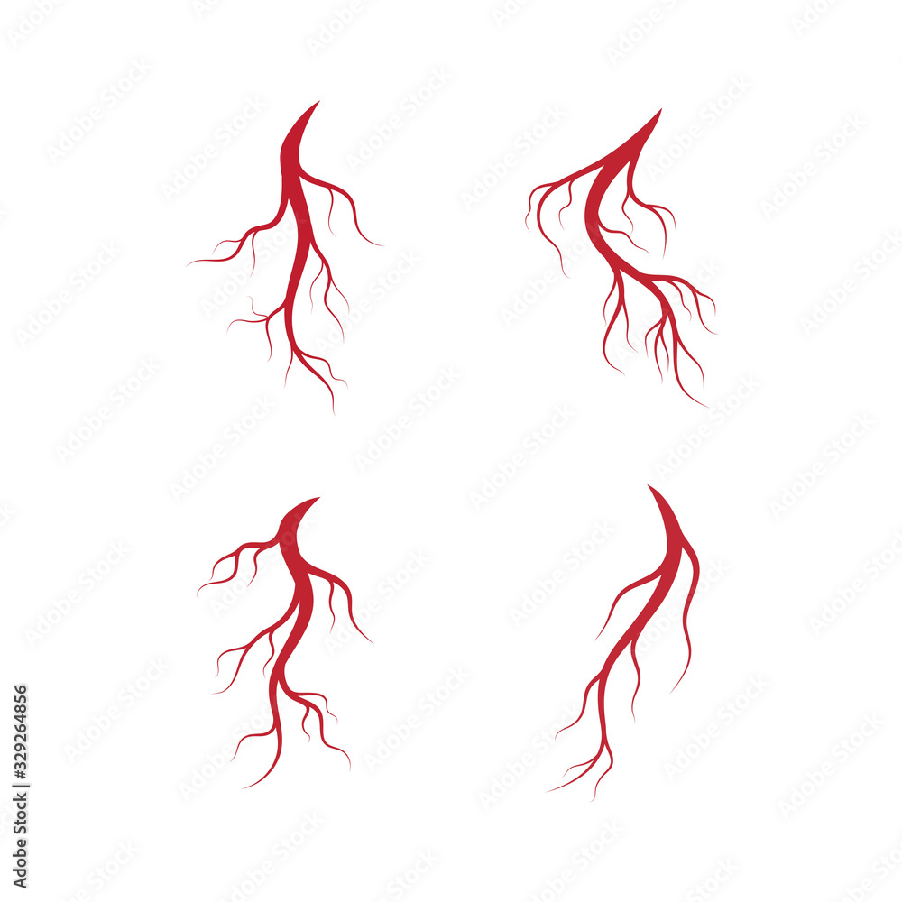 Human veins and arteries illustration design Human veins and arteries illustration design