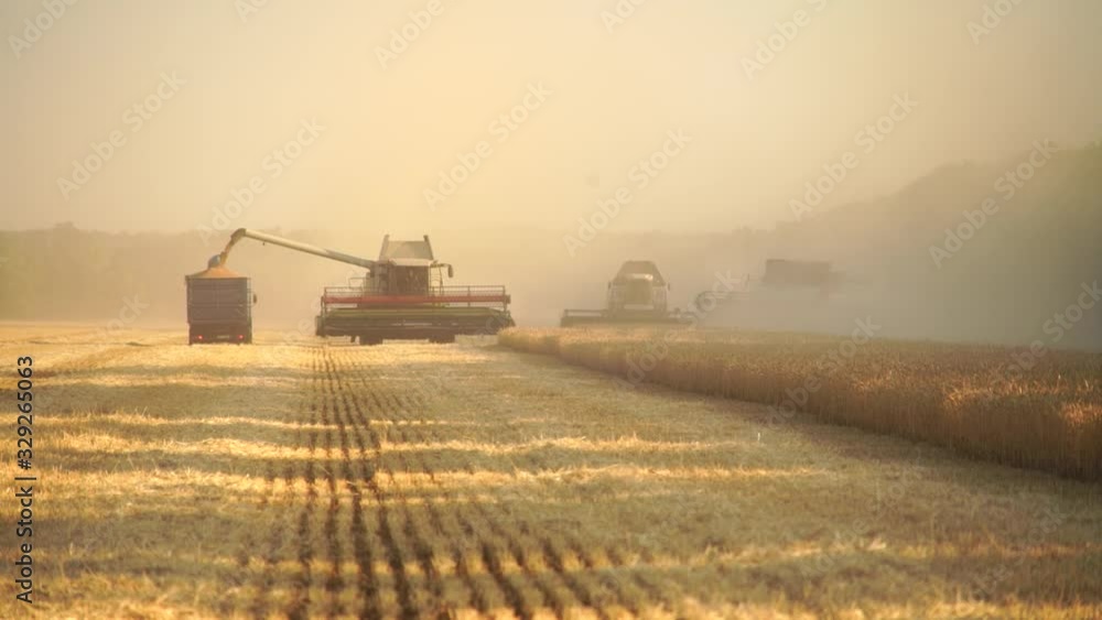 Harvesting of wheat. Combine harvesters at work. Harvesting of wheat. Combine harvesters at work.