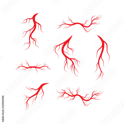 Human veins and arteries illustration design