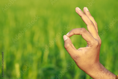 Indian farmer hand in OK sign over green wheat field background  © Neha