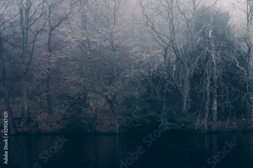 Mystischer Nebel streift durch den Wald. Vordergrund Wasser und See