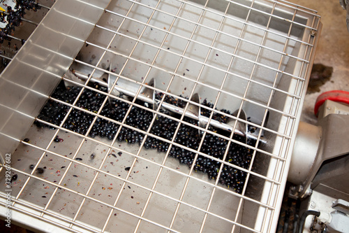 Ταπετσαρία Pouring vine grapes in grape squezing harvest wine machine in bordeaux