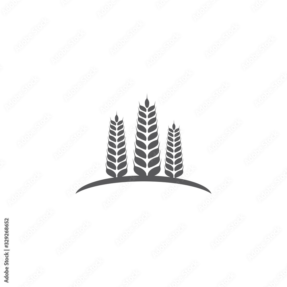 Fototapeta premium Wheat icon Vector Illustration design Logo