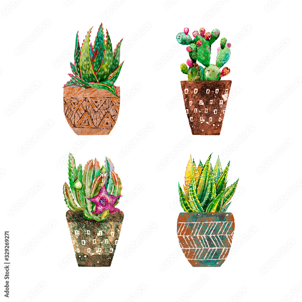 Fototapeta premium Watercolor cacti and aloe on white background.Нome plants in pots.Botanical illustration succulents . Design for textile, fabric, print, ,smartphone cover,postcard,cover notebooks .