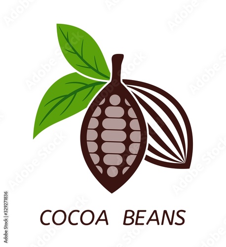vector icon of cocoa beans with green leaves