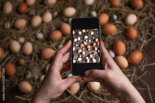 Wallpaper Mural making picture on mobile phone of  chiken eggs in nest Torontodigital.ca