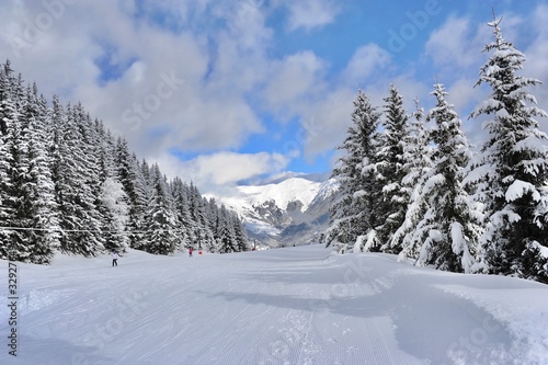 Empty ski slope with snowy trees © raeva
