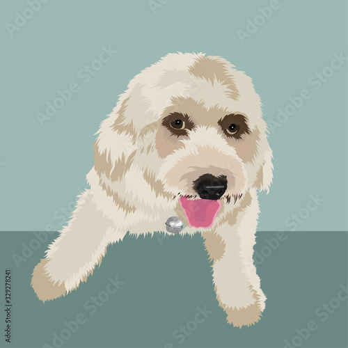 White dog isolated on the background. Vector illustration.