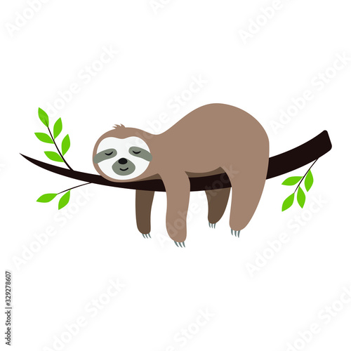 Cute cartoon sloth sleeping on a branch