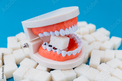 Bild auf Leinwand A peace of sugar in the fake jaw with a lot of holes in teeth isolated