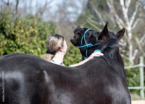 training of equifeel