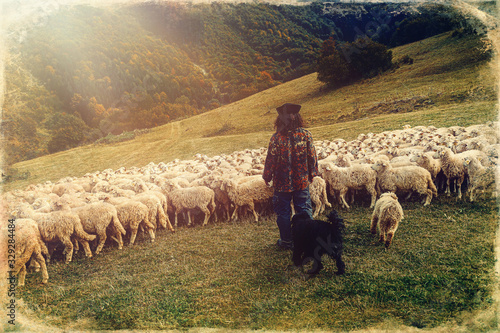 Flock of sheep on beautiful mountain meadow, old photo effect. photo