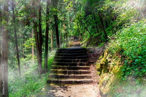 Fog in a trekking paths to cross the forest from the Tianzi Mountain peak to Golden Whip Stream  Zhangjiajie Grand Canyon    Zhangjiajie National Park  China