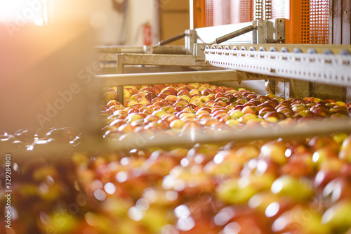 Apples Floating in Water in Packing Warehouse