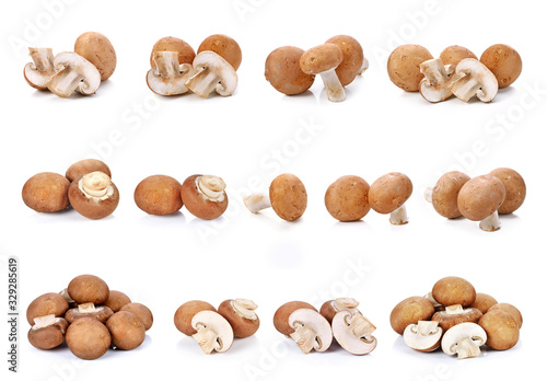 Brown champignon mushroom and rosemary leaves isolated on white background