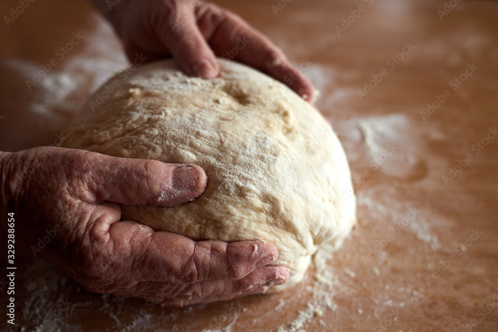 Obraz premium Grandmother's hands knead homemade dough for baking bread.