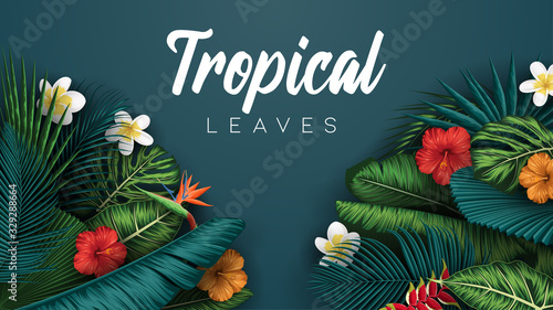 Tropical summer leaves background with jungle plants