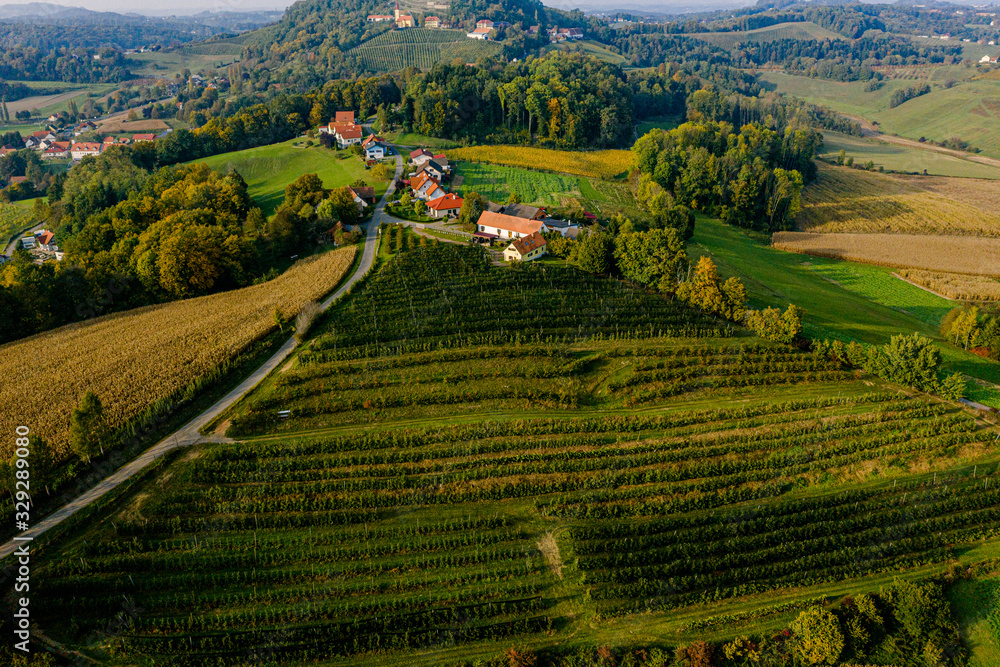 panorama view from vineyard vine Kapfenstein south styria