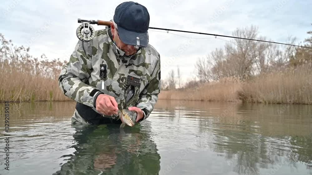 catch of a beautiful brown trout with fly catch of a beautiful brown trout with fly