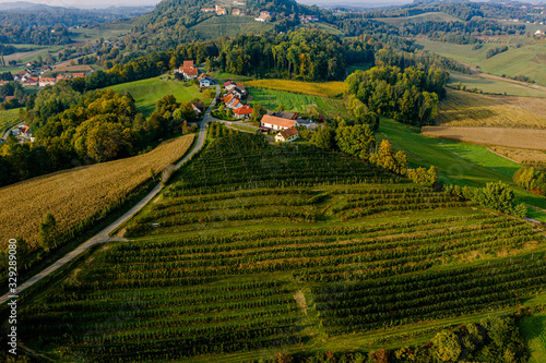 panorama view from vineyard vine Kapfenstein south styria photo
