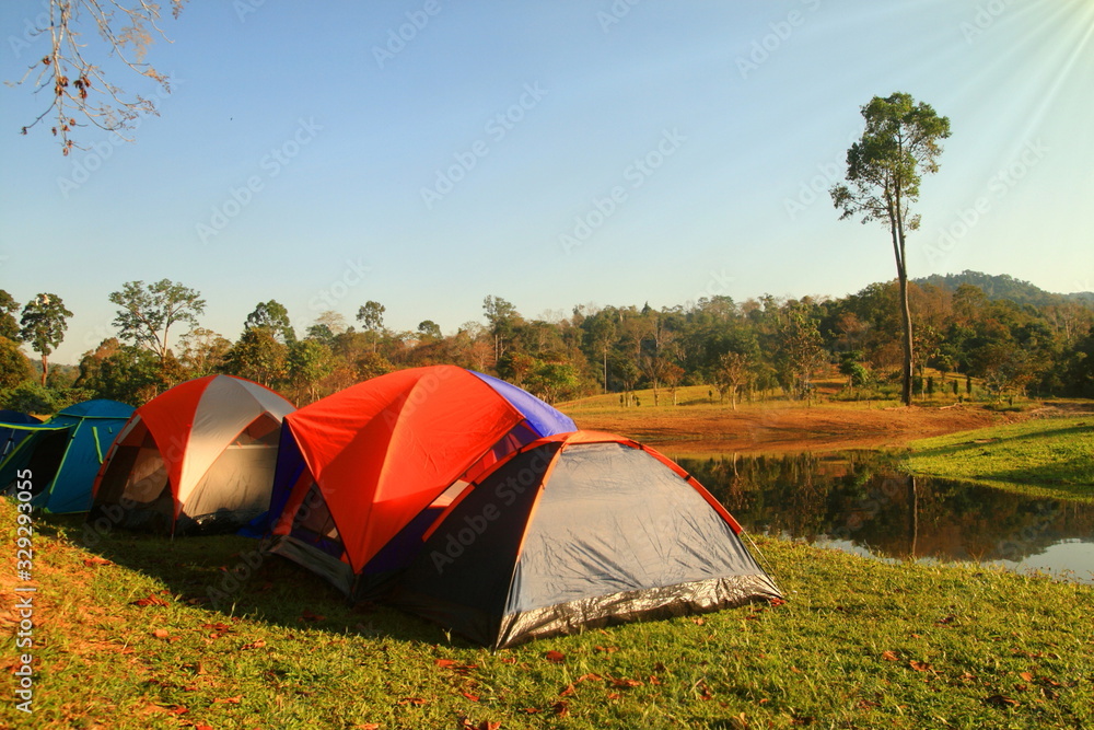 tents for camping in forest