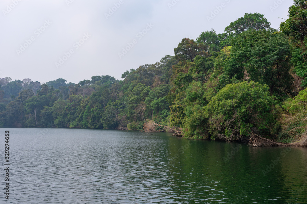 Forest trees in the Yeak laom lake. A peaceful place in the green jungle of Cambodia.